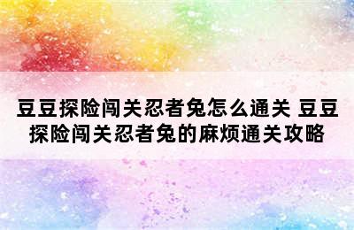 豆豆探险闯关忍者兔怎么通关 豆豆探险闯关忍者兔的麻烦通关攻略